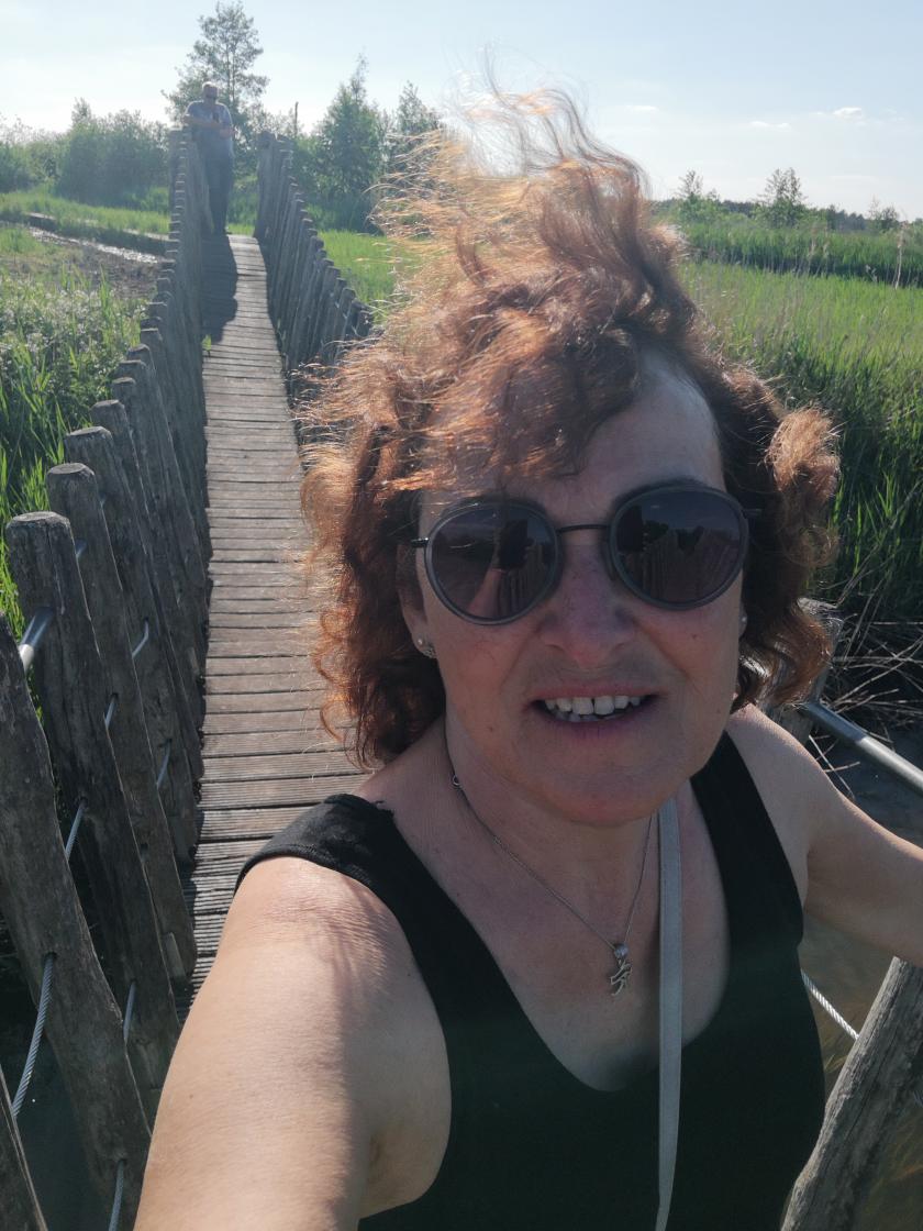 Hangbrug Hageven gevonden. 