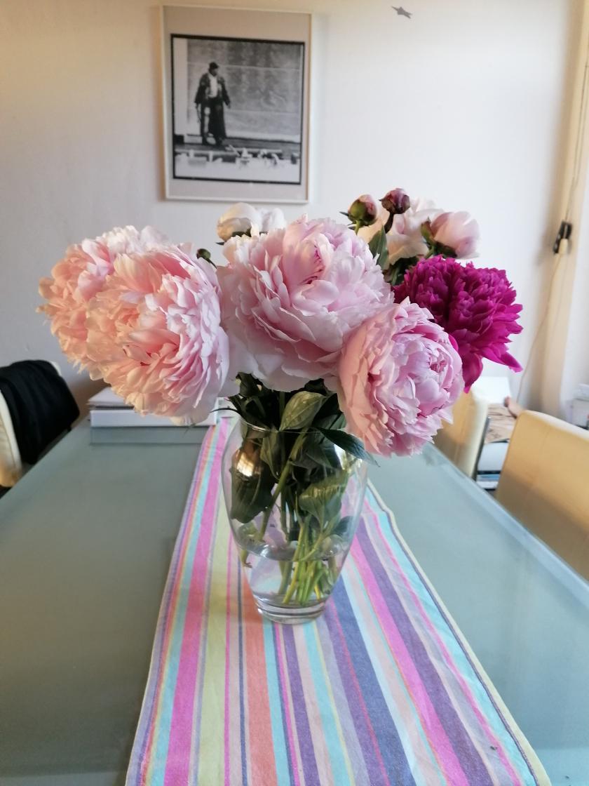 Pioenrozen uit m'n tuin... 