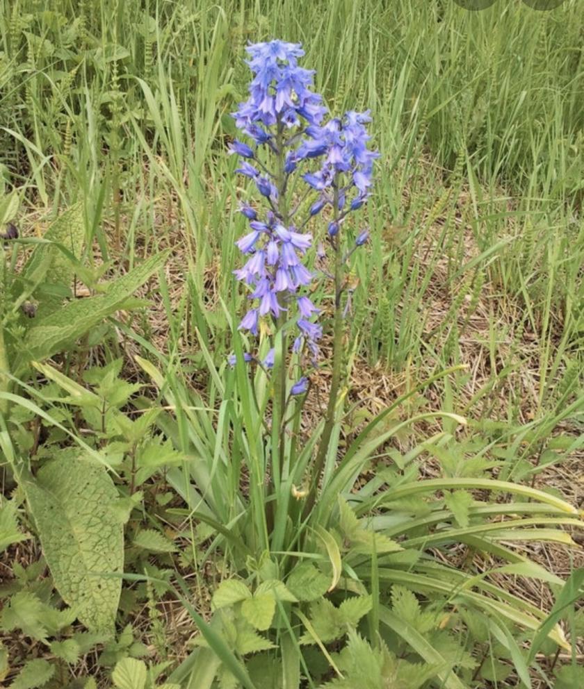 Wel of geen onderzoek?