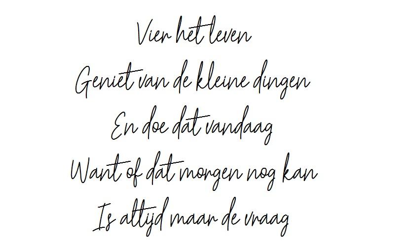 Vier het leven