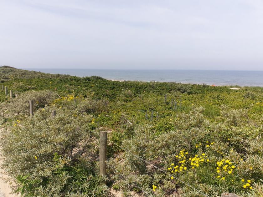 Kijkduin, tijdens een mooie zondagochtend wandeling