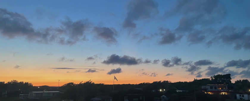 Zonsondergang boven het bos