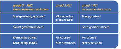 Mate van differentiatie per type neuro-endocriene kanker