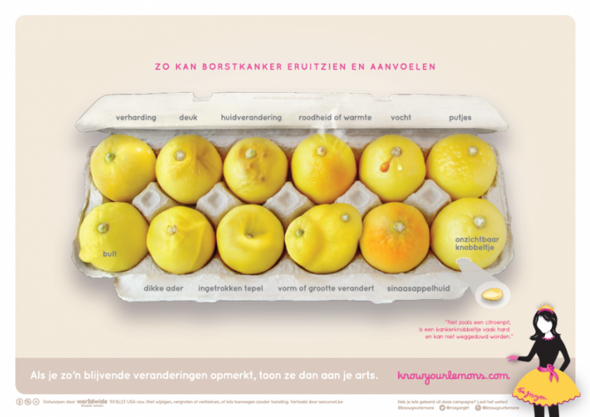 Hoe ziet borstkanker eruit? Twaalf verschillende vormen, voorgesteld als afwijkingen bij citroenen.