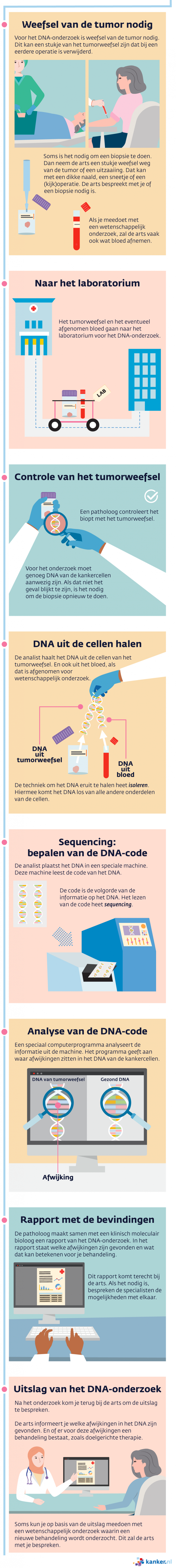 Infographic: zo gaat DNA-onderzoek bij mensen met kanker.