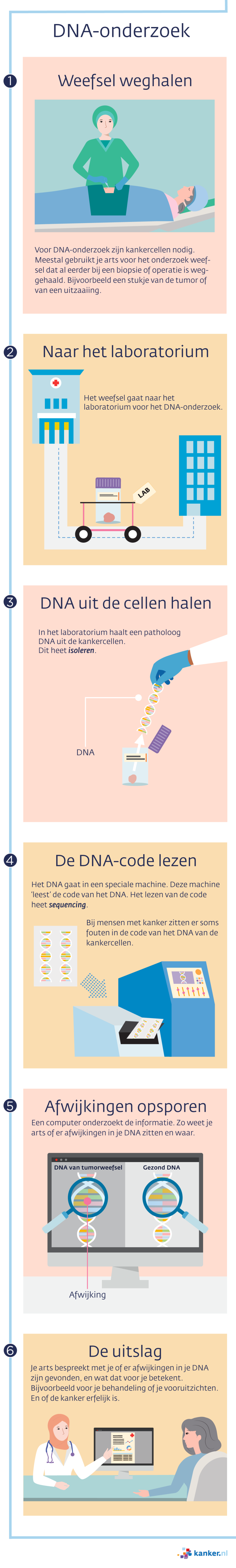 Infographic: zo gaat DNA-onderzoek bij mensen met kanker