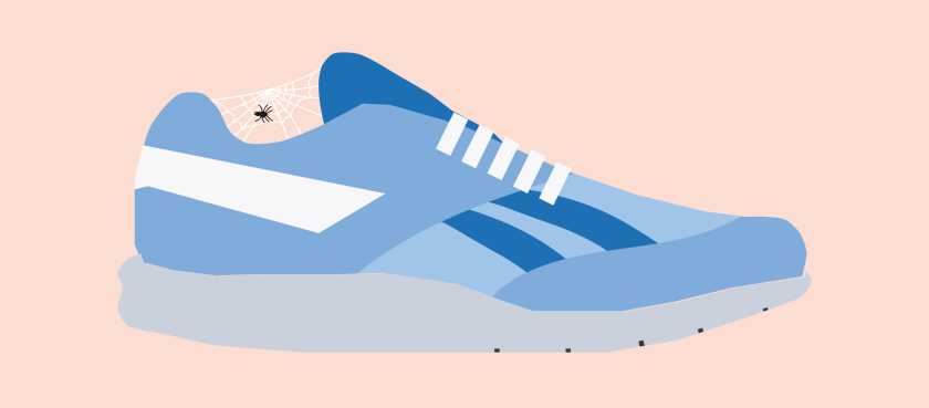illustratie van een sportschoen met een spinnenwebje erin