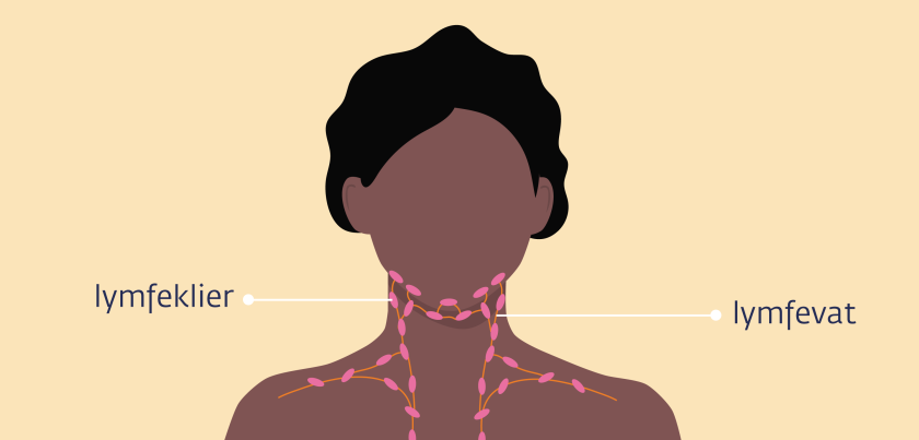 De lymfeklieren in de hals lopen van het kaakgebied tot aan de sleutelbeenderen en het borstbeen.