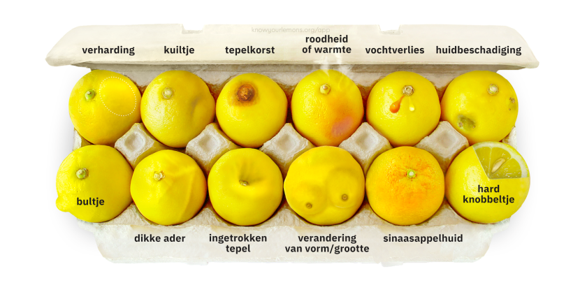 Hoe ziet borstkanker eruit? Twaalf verschillende vormen, voorgesteld als afwijkingen bij citroenen.
