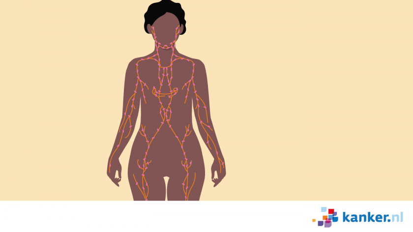 Op verschillende plekken in het lichaam zitten groepen lymfeklieren. 