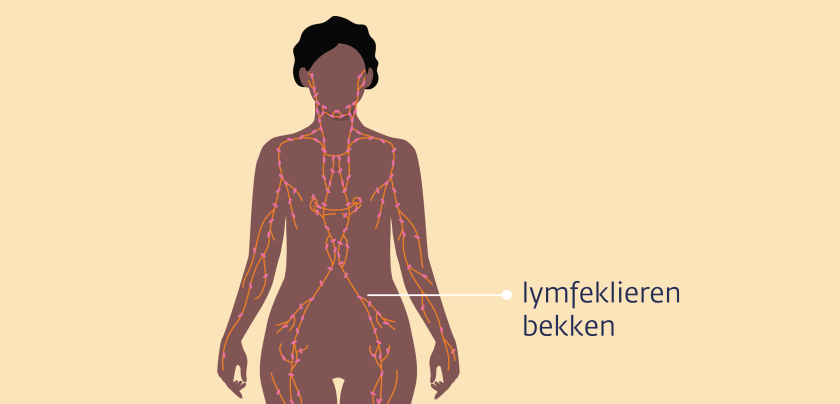 Op verschillende plekken in het lichaam zitten lymfeklieren, onder andere in het bekken.