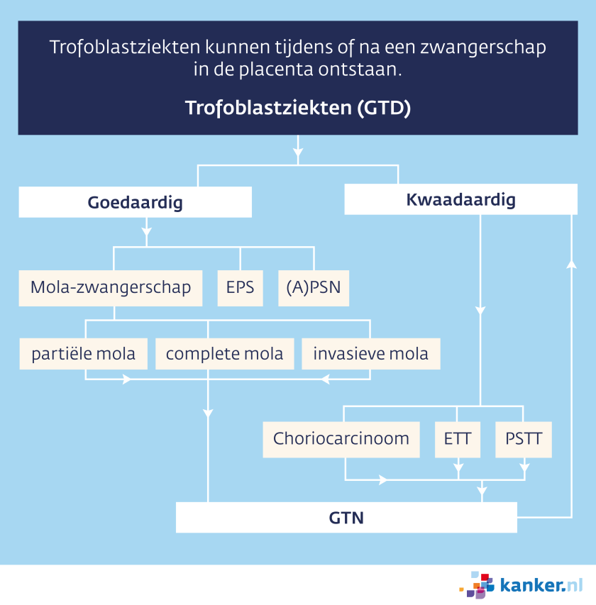 Dit stroomdiagram maakt een verschil tussen goedaardige en kwaadaardige kenmerken.
