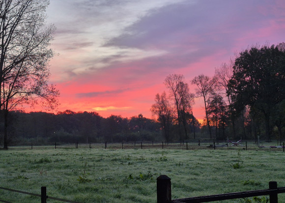 Leven, beleven, naleven, herbeleven, opleven, laten leven, het leven