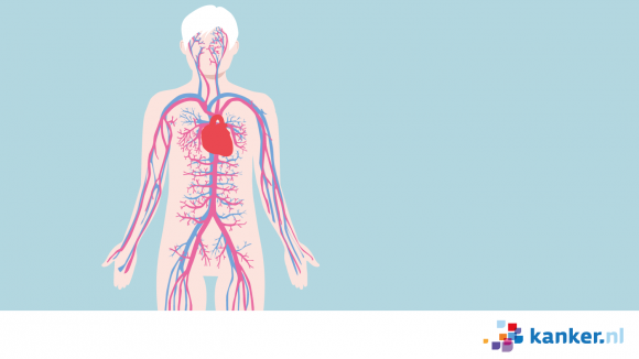 Uitzaaiingen via het bloed