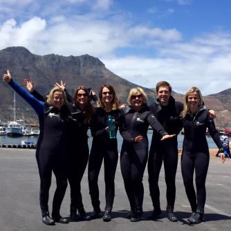 zwemmen met zeehonden in Houtbaai