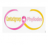 Logo contactgroep phyllodes